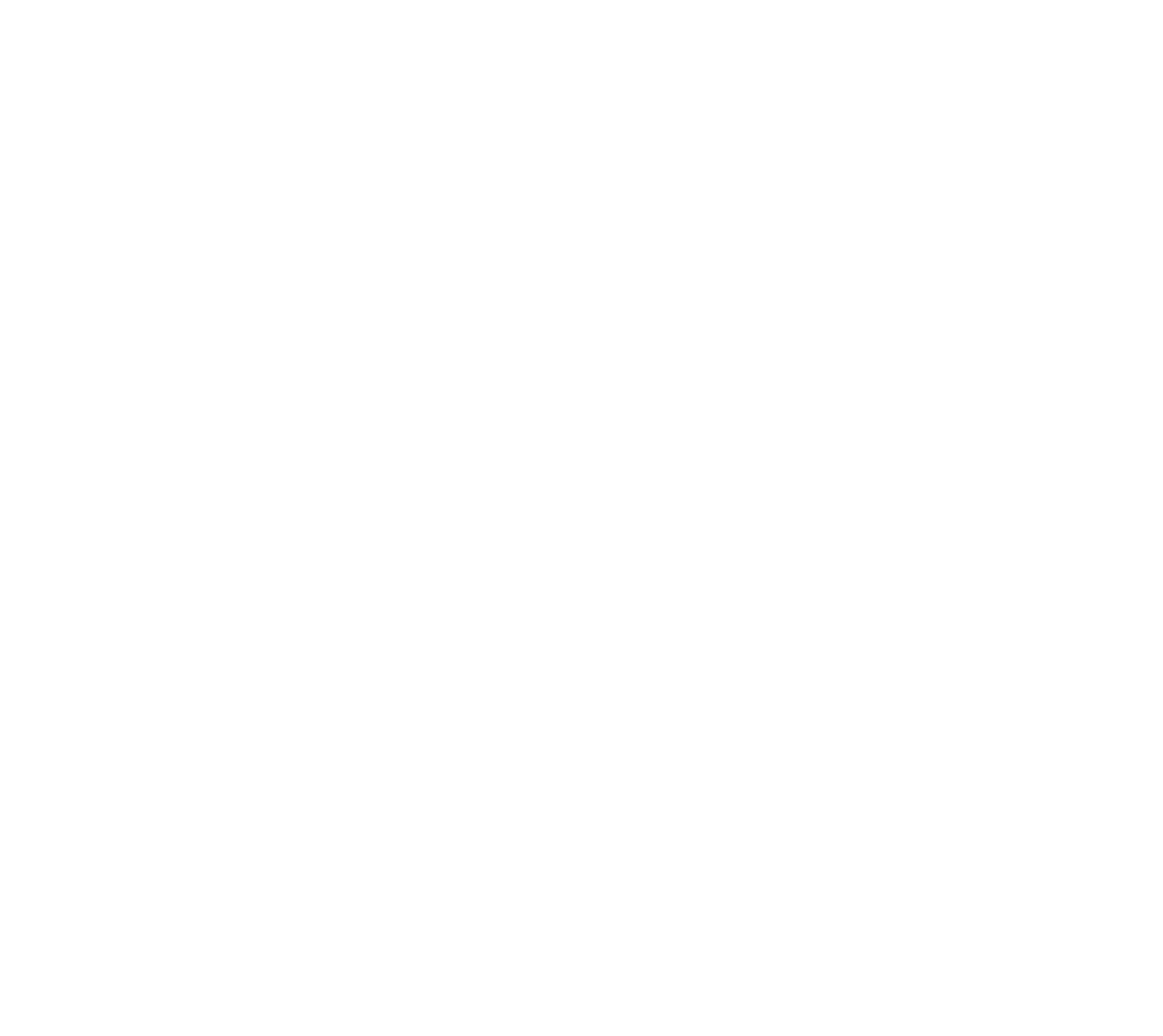 Nuova Simonelli logo