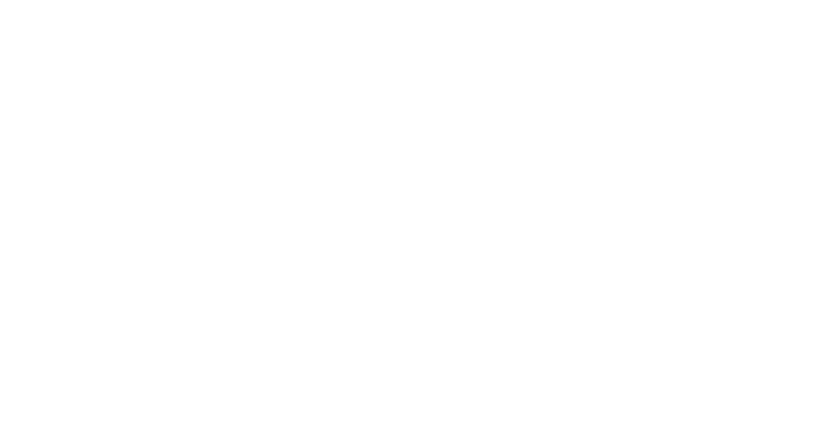 Elvy logo